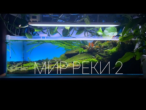 Видео: Мир Реки 2
