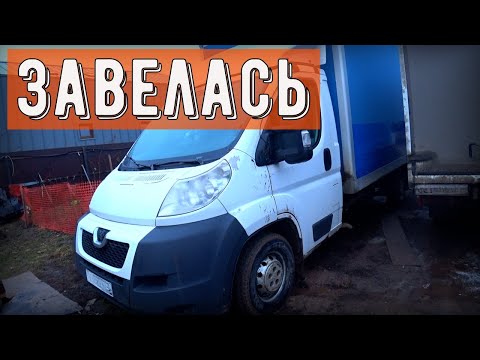Видео: Завел Пежо Боксер, как тянет Форд Транзит