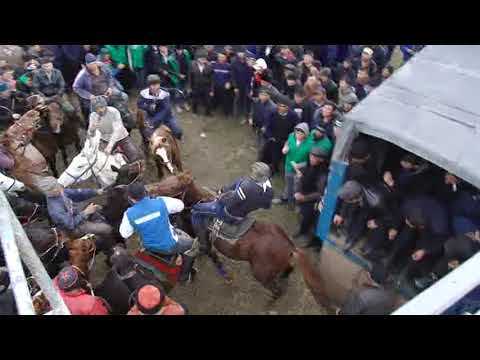 Видео: Купкари 2018 йил 5-кисм