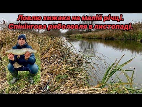 Видео: Ловлю хижака на малій річці. Спінінгова риболовля в листопаді.