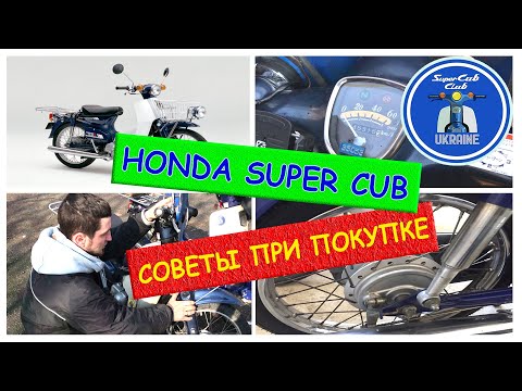 Видео: Как выбрать Honda Super Cub (Хонду Супер Каб)