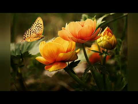 Видео: N 43 Туулган жылды  орусча кандай айтабыз.