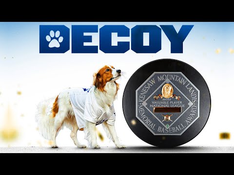 Видео: Декой Отани: самый ценный щенок! (Лучшие моменты собаки Сёхея Отани 🥹)