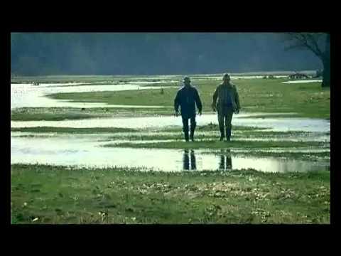 Видео: Липичанская пуща.wmv