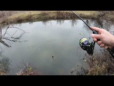 Видео: Риболов на зимни кефали!
