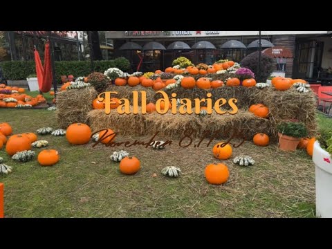 Видео: Последни работни дни 🕰️ | Ноември 