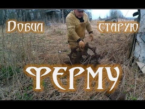 Видео: Добил старую ферму. Хорошие находки #металлокоп #коп #уаз #металлопоиск #черноезолото