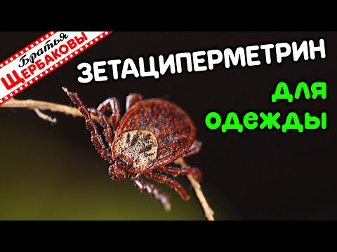 Видео: ЗАЩИТА от КЛЕЩЕЙ! ЗЕТАЦИПЕРМЕТРИН для пропитки одежды. Тест на выживание!