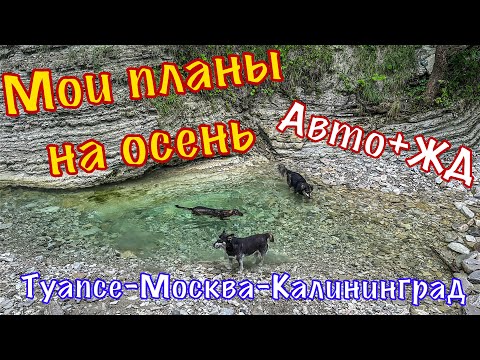 Видео: Посылка от подписчика. Интересная прогулка с собаками.