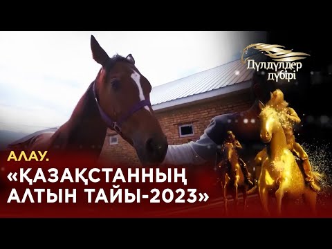 Видео: Алау. «Қазақстанның алтын тайы-2023». «Дүлдүлдер дүбірі». Бәйге.