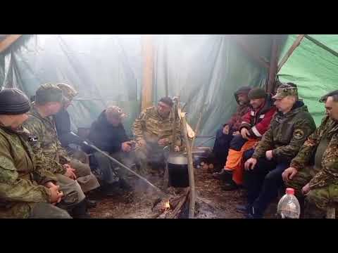 Видео: 12 мая 2025 г.