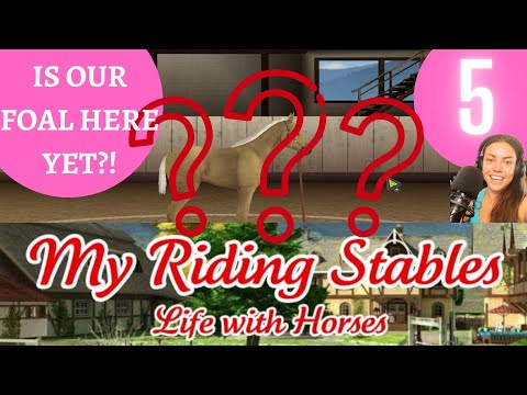 Видео: Наш жеребёнок уже здесь!? Мои конюшни: жизнь с лошадьми