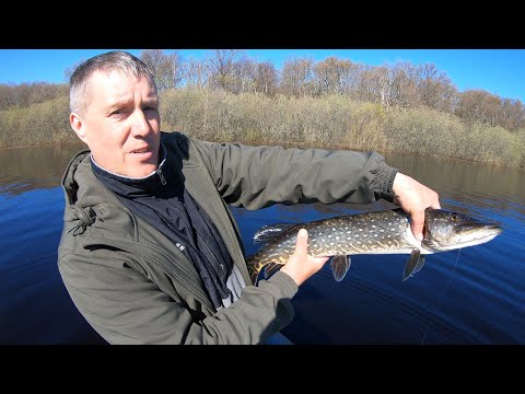 Видео: Открытие сезона по спиннингу 2022. Ловля щуки  на вертушки. Ильмень 2022