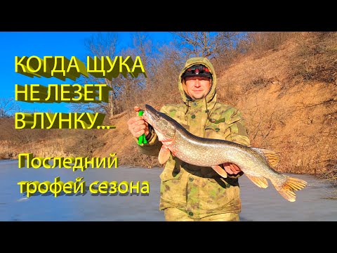 Видео: 🔥 Как поймать ТРОФЕЙНУЮ ЩУКУ на жерлицы? Теория и практика. ТОЛСТАЯ ЩУКА не лезет в лунку 🔥