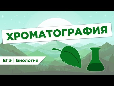 Видео: Что такое ХРОМАТОГРАФИЯ l ЕГЭ Биология | Даниил Дарвин | Вебиум