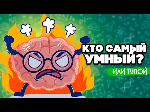 Видео: Кто Самый УМНЫЙ или ТУПОЙ на Nintendo Switch ♦ Big Brain Academy: Brain vs. Brain