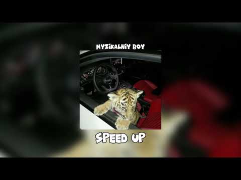 Видео: Плейлист вайбовых песен для твоих ушей 2024 года |Speed up|🐻🥩