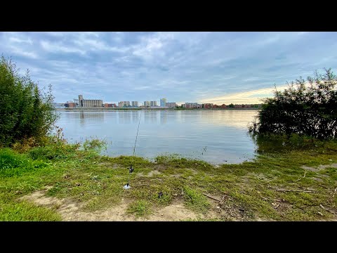 Видео: Рыбалка 🎣 на семейкином острове (р.Томь) @akimov_d_s 