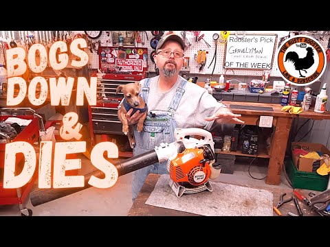 Видео: Воздуходувка Stihl BG55 Bogs and Dies