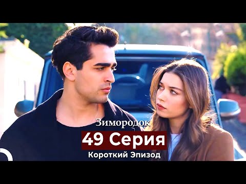 Видео: Зимородок 49 Cерия (Короткий Эпизод) (Русский дубляж)