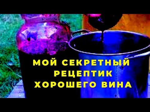 Видео: Секретный рецептик Как сделать отличное полусладкое  вино из кислого винограда