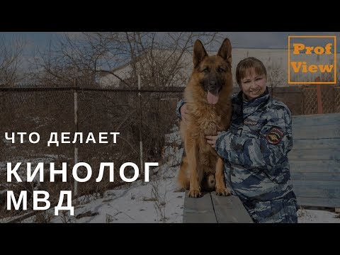 Видео: Кинолог МВД