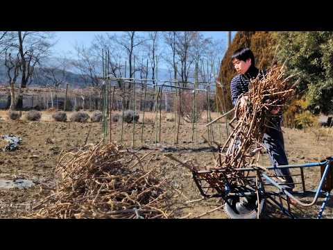 Видео: Простая жизнь в Японии | Приготовление онигири и наслаждение природой