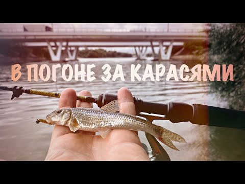 Видео: ПОСЛЕДНИЙ ДЕНЬ ЛЕТА  МОРМЫШИНГ  В ПОГОНЕ ЗА КАРАСЕМ