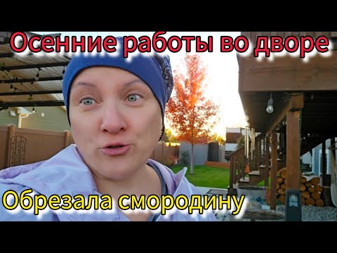 Видео: Готовлю к зиме огород. Новые шторы.