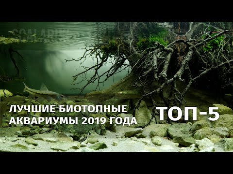 Видео: Топ-5 биотопных аквариумов 2019 года / Top-5 Biotope Aquarium Design Contest 2019