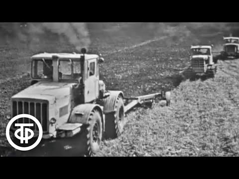 Видео: Природоведение. 2 класс. Уборка урожая (1973)