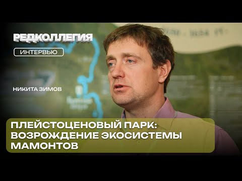 Видео: «Цивилизация в ситуации истощения ресурсов». Как степи мамонтов спасут нас от глобального потепления