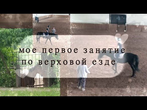 Видео: Конный Влог: мое первое занятие по верховой езде! ♡