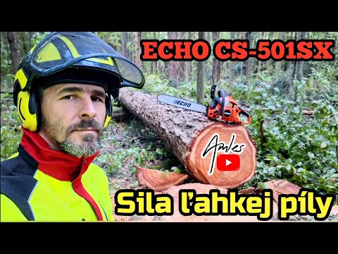 Видео: Валка сосны лёгкой профессиональной пилой ECHO CS-501SX | Как справиться? | Amles  Лесные работы