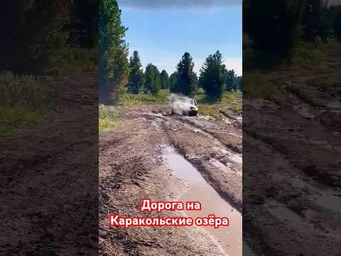 Видео: Дорога на Каракольские озёра  #горныйалтай #4x4 #шнива #алтай #нива #горы #niva