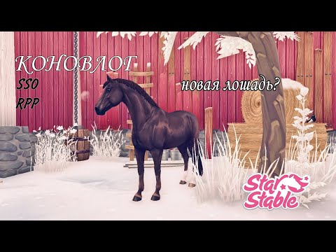 Видео: RPP VLOG| ПРОСМОТР ЛОШАДЕЙ ДЛЯ ПОКУПКИ| STAR STABLE ONLINE|