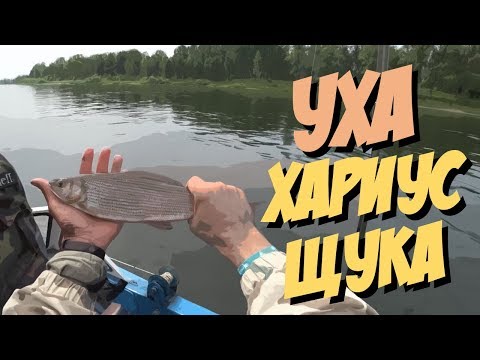 Видео: Как ловить щуку / Рецепт ухи / Рыбалка на хариуса