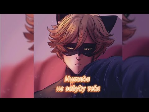 Видео: Озвучка | Никогда не забуду тебя | Комикс | Леди баг и Супер Кот