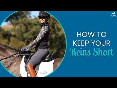 Видео: У тебя слишком длинные поводья?!