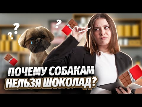 Видео: Изучаем биологию на моей собаке | ЕГЭ по биологии для 10 класса | Умскул