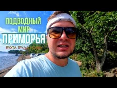 Видео: Приехали на КЛАДБИЩЕ КОРАБЛЕЙ. Подводный мир Приморья