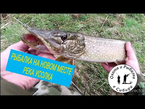 Видео: Рыбалка на новом месте! Озеро рядом с. Усолка Дзержинского района Красноярского края