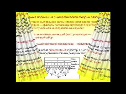 Видео: Биология. 9 класс. Современные представления об эволюции. Людмила Ивановна. Profi-Teacher.ru