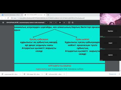 Видео: сенсорлық жүйе  Көздің құрылысы