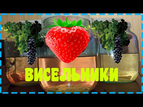 Видео: ВИСЕЛЬНИКИ КЛУБНИКА, ВИНОГРАД. ВАЖНО ЗНАТЬ КАКОЙ!!!