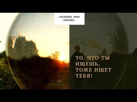 Видео: Человек. Мир. Гнозис: о нас