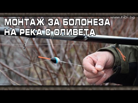 Видео: Работещ монтаж за болонеза на река с оливета