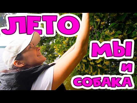 Видео: ВОТ ЭТО УЛОВ...! Окушок да щучка :)) СЛОМАЛСЯ ЯКОРЬ. Три водохранилища за ОДИН ПОХОД. Липа на зиму.