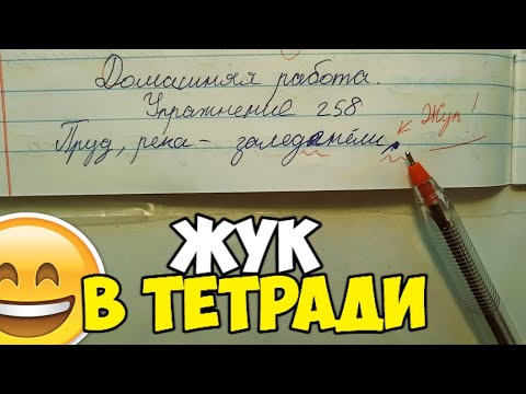 Видео: Жалко ставить двойку