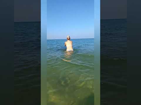 Видео: ДЕЛЬФИНЫ.АВГУСТ 2025ГОД.ВИТЯЗЕВО.